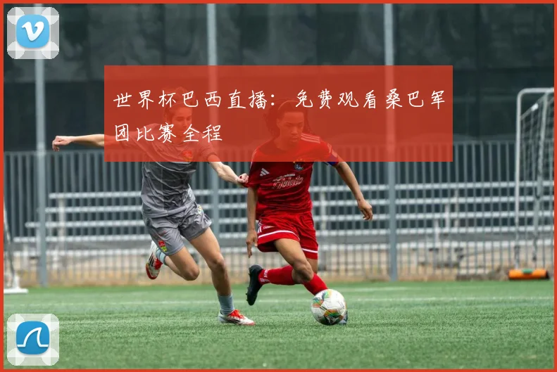 世界杯巴西直播：免费观看桑巴军团比赛全程